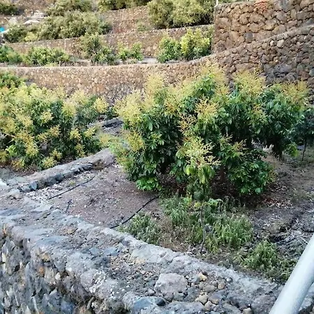 Independent House In Rural Setting